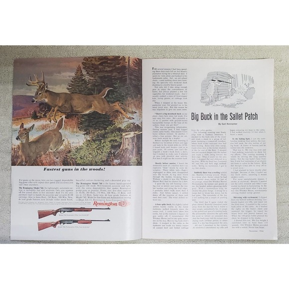 Southern Hunting and Fishing Brochure 1964 - Picture 2 of 4